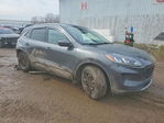 Ford Escape 2020