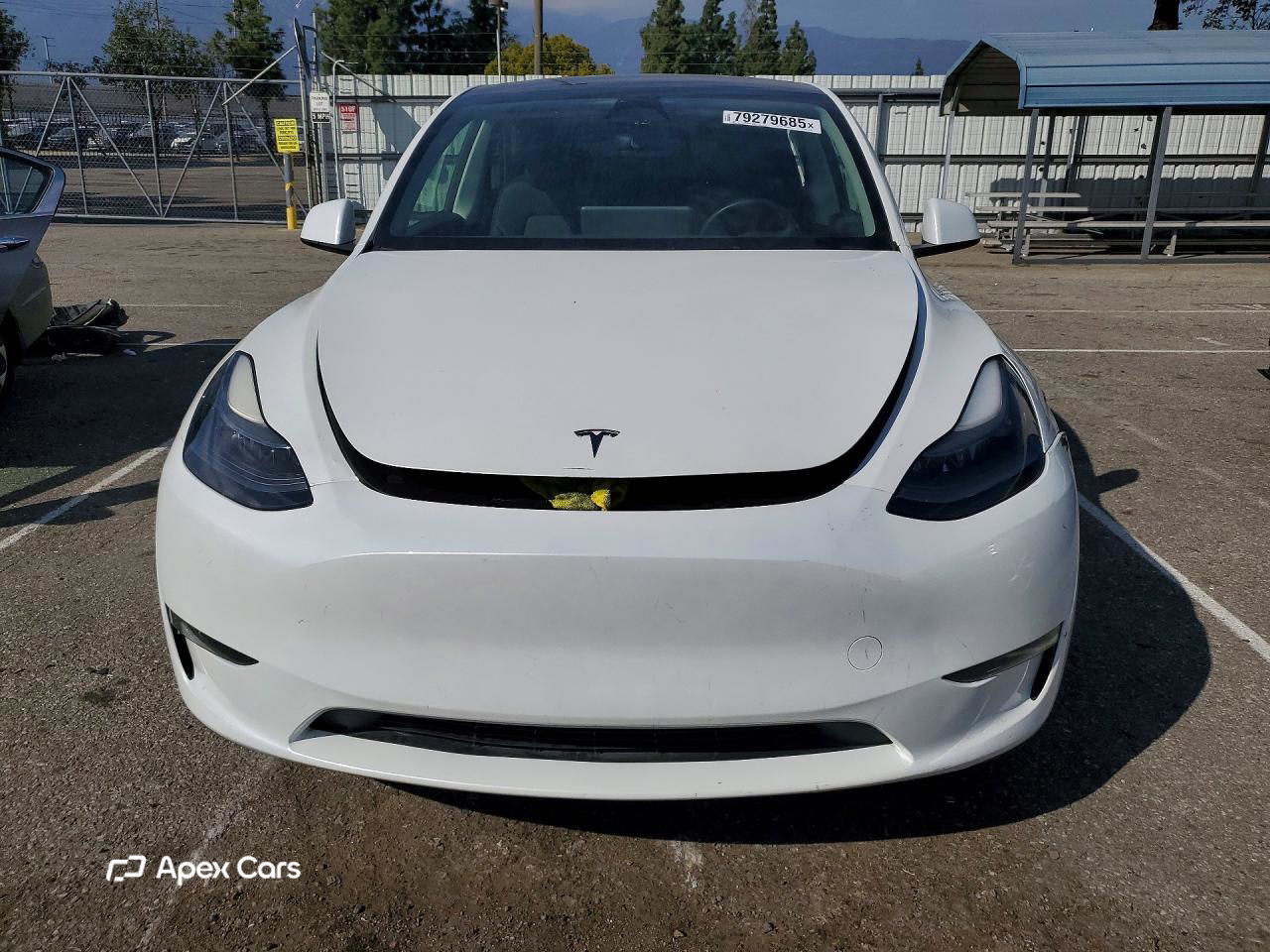 Tesla Model Y 2025