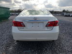 Lexus ES 2007