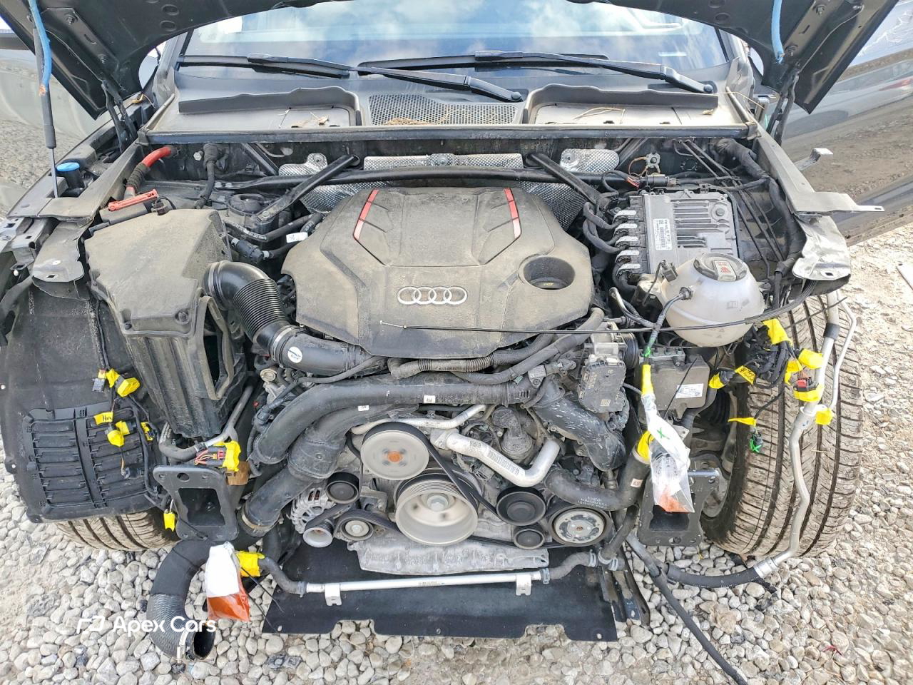 Audi SQ5 2022