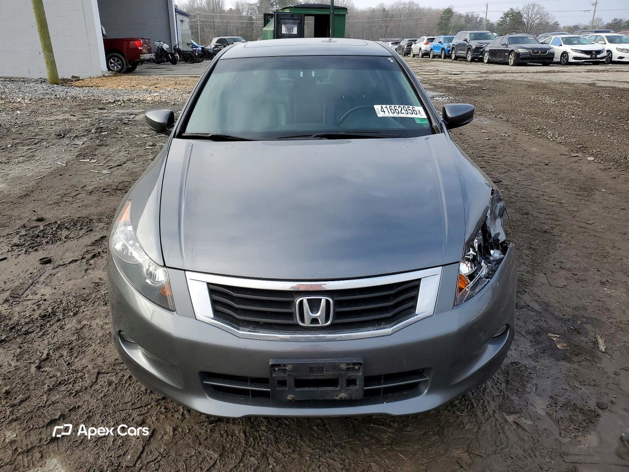 Honda Accord 2010