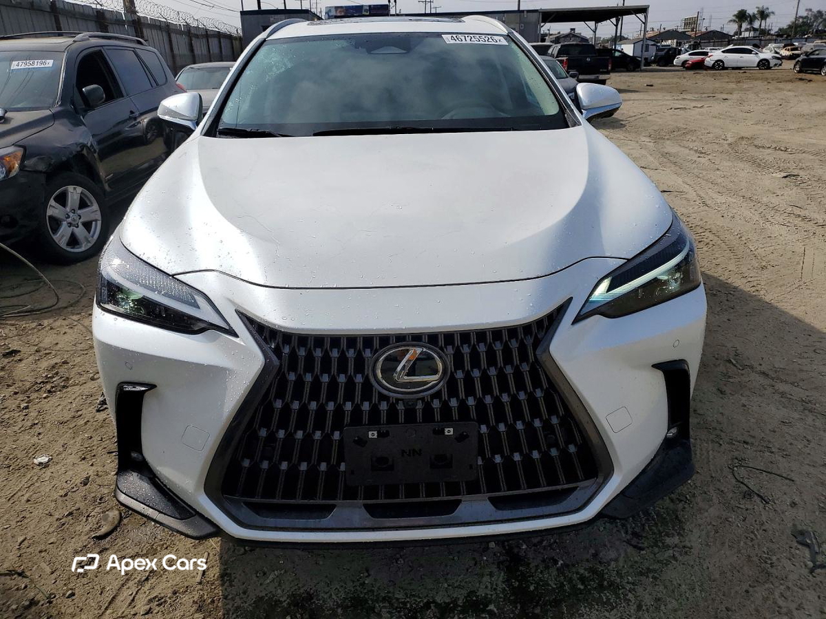 Lexus NX 2025