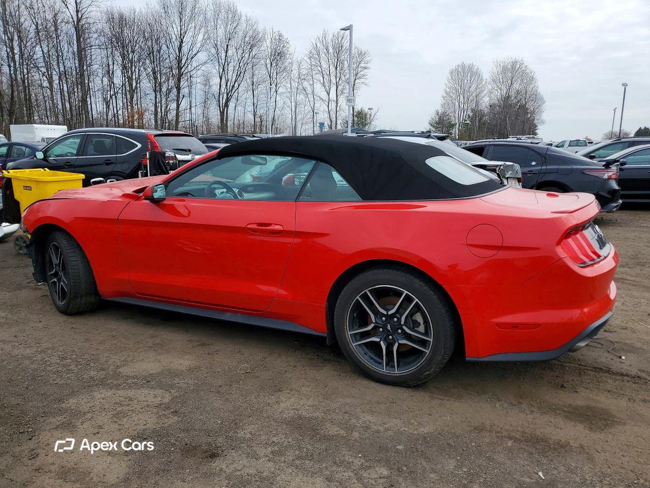 Ford Mustang 2019