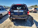 Ford Escape 2011