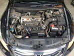 Honda Accord 2011