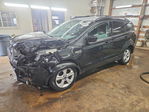 Ford Escape 2013