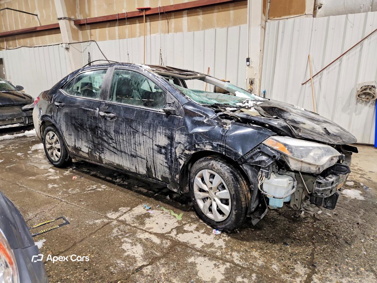 Toyota Corolla 2015