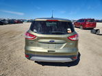 Ford Escape 2013