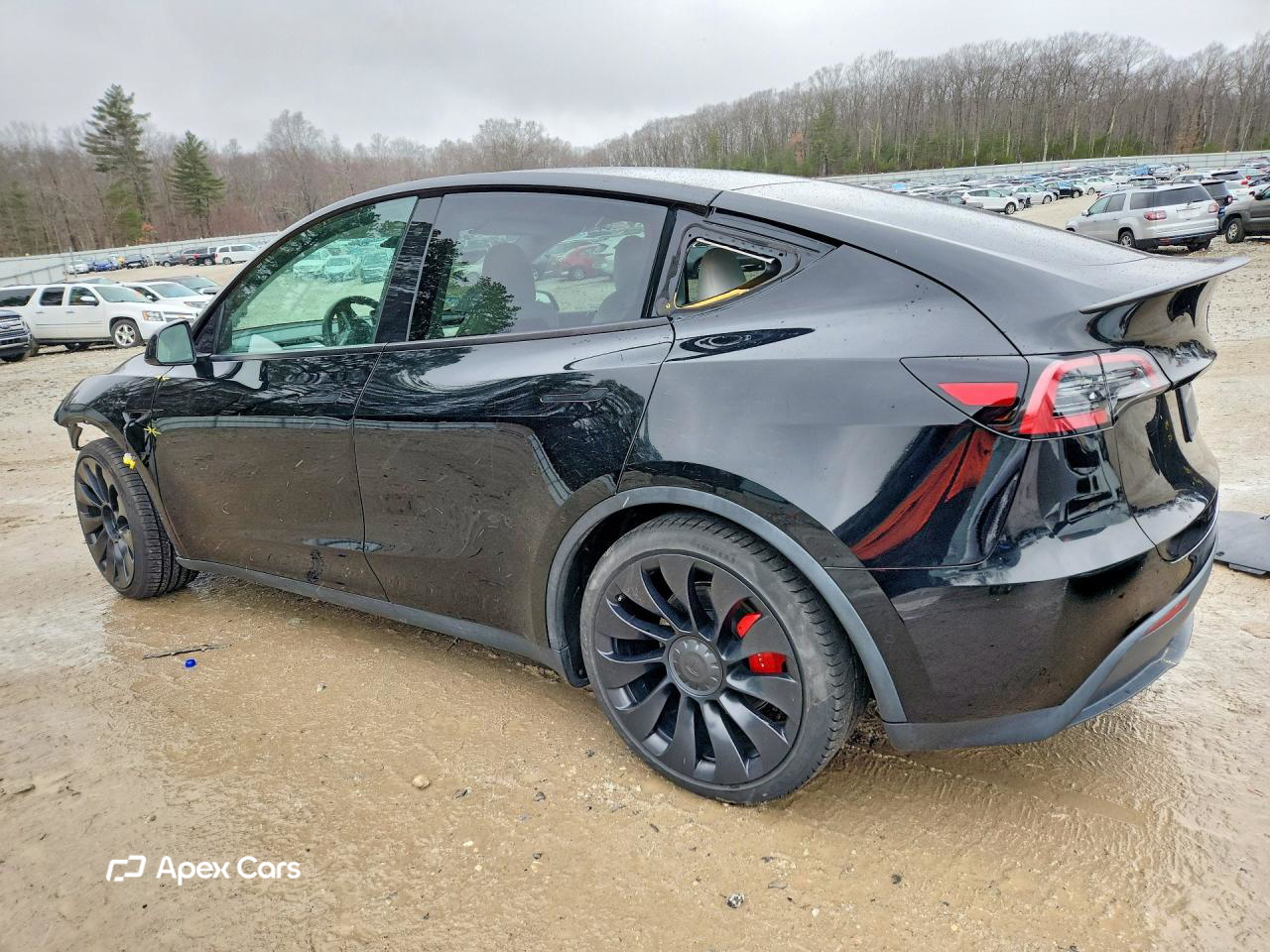 Tesla Model Y 2022