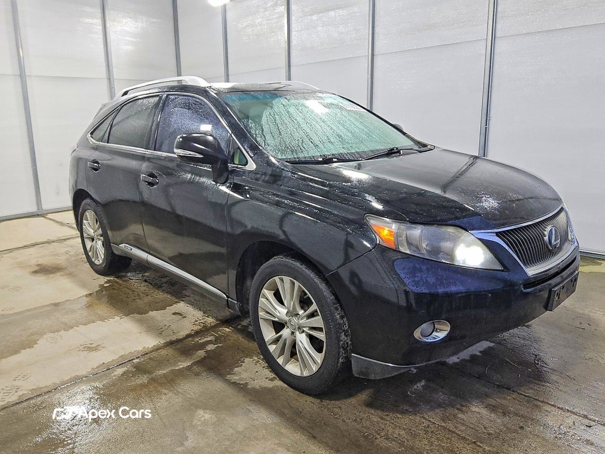 Lexus RX 2010