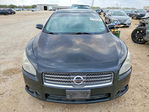 Nissan Maxima 2011