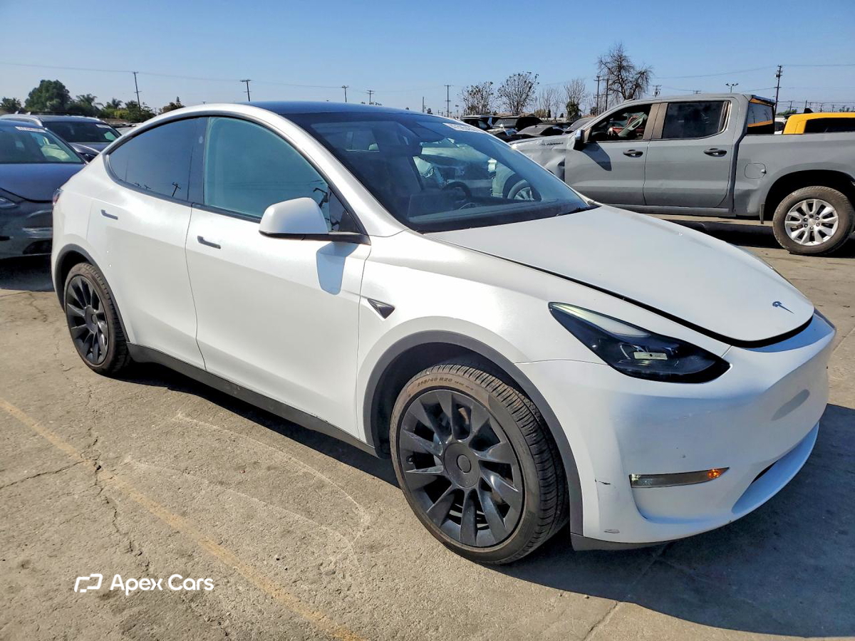 Tesla Model Y 2024