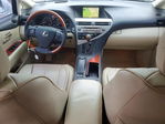 Lexus RX 2010