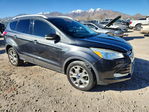 Ford Escape 2015