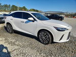 Lexus RX 2024
