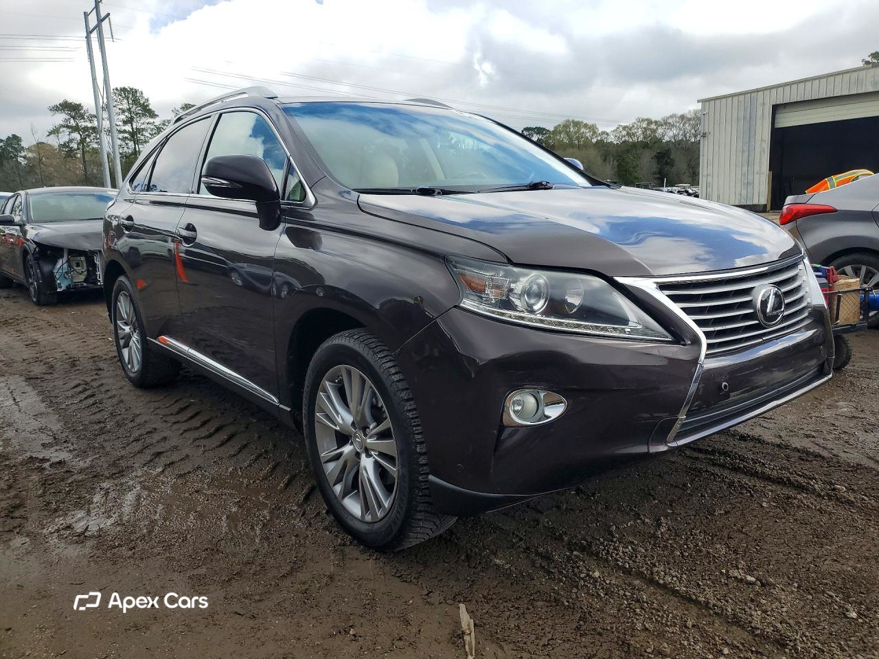 Lexus RX 2013