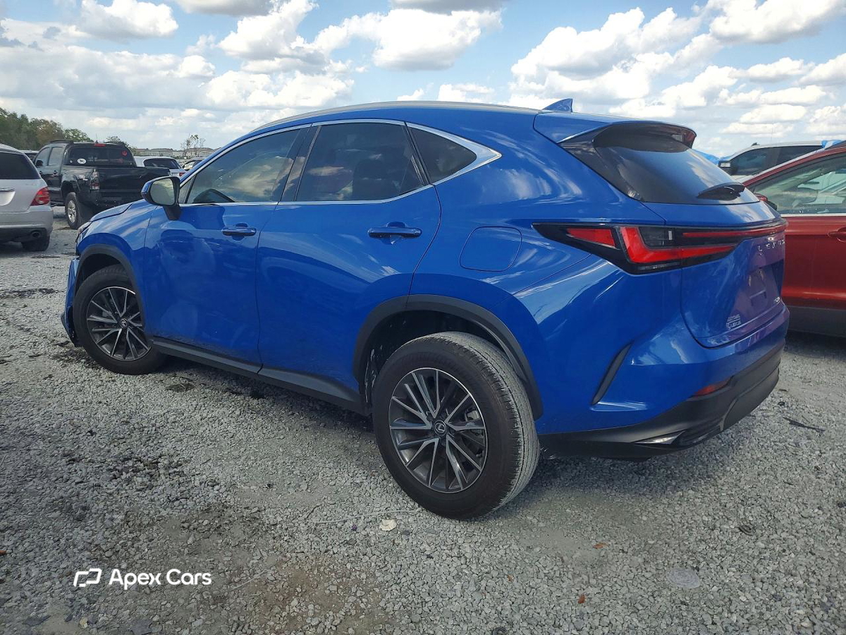 Lexus NX 2025