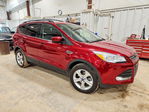 Ford Escape 2014