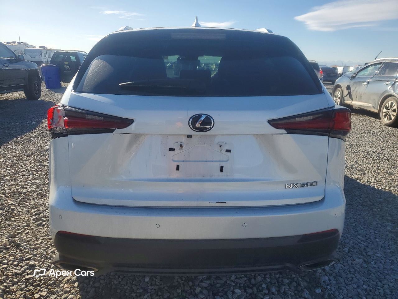 Lexus NX 2020