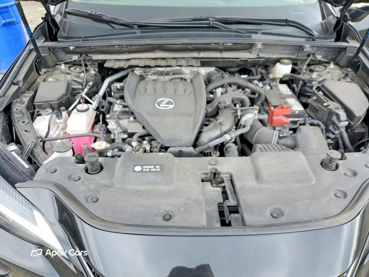 Lexus NX 2025