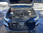 Audi Q8 2019