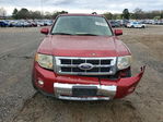 Ford Escape 2008