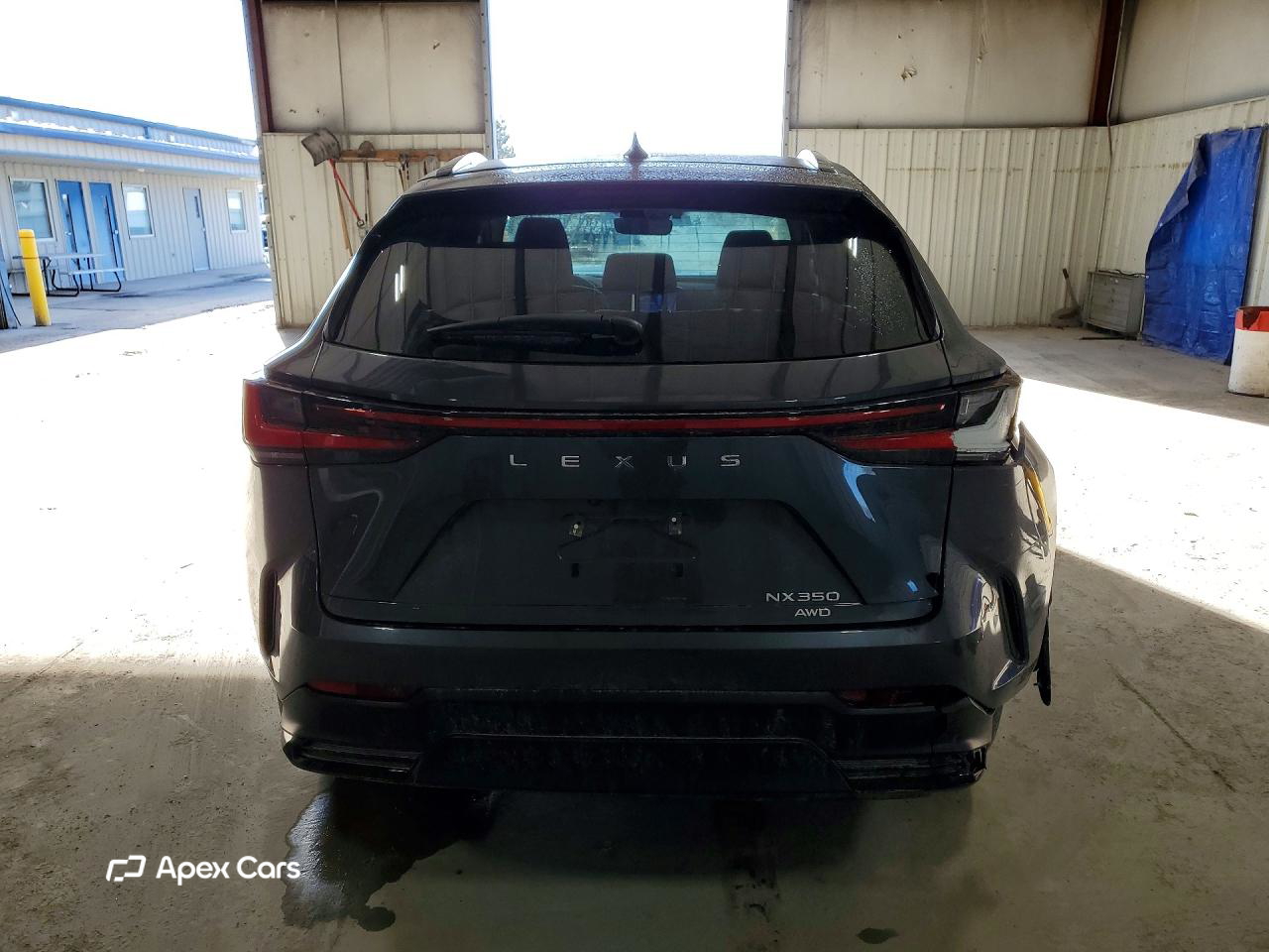 Lexus NX 2024