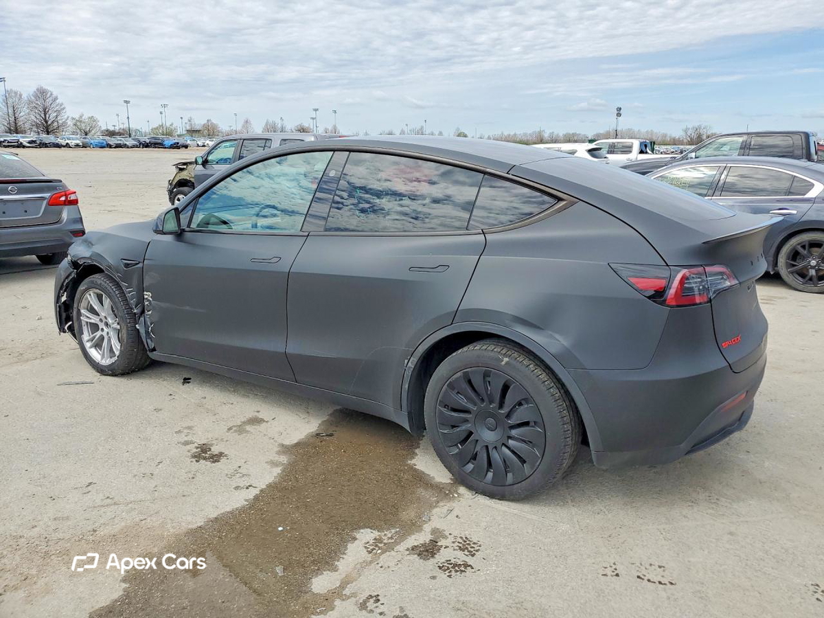 Tesla Model Y 2024