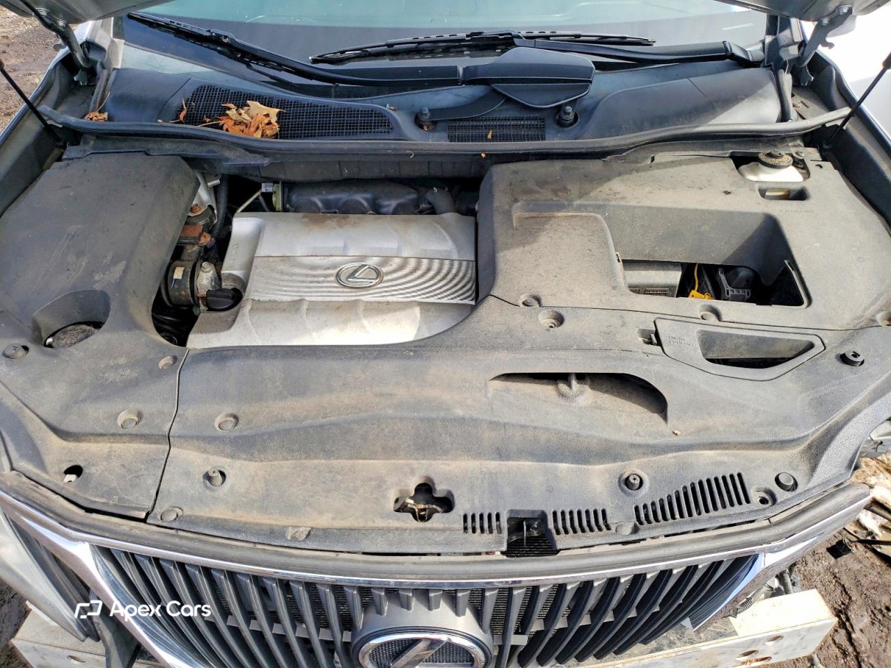 Lexus RX 2010