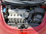 Volkswagen Beetle 2010