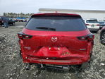 Mazda CX-50 2025