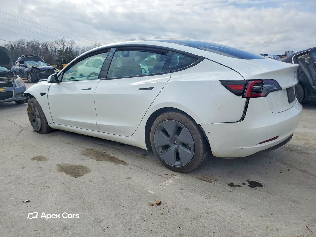 Tesla Model 3 2021
