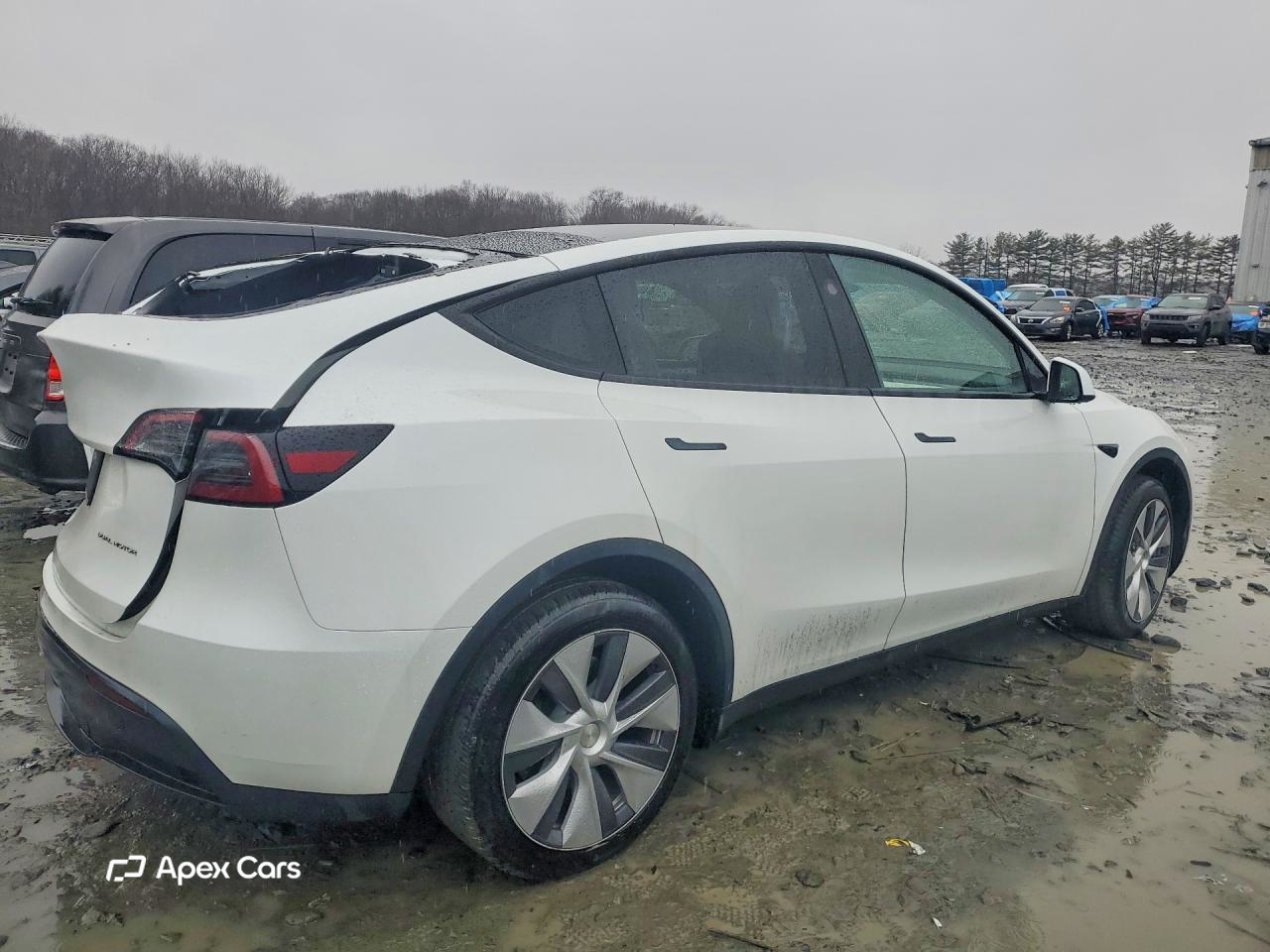 Tesla Model Y 2024