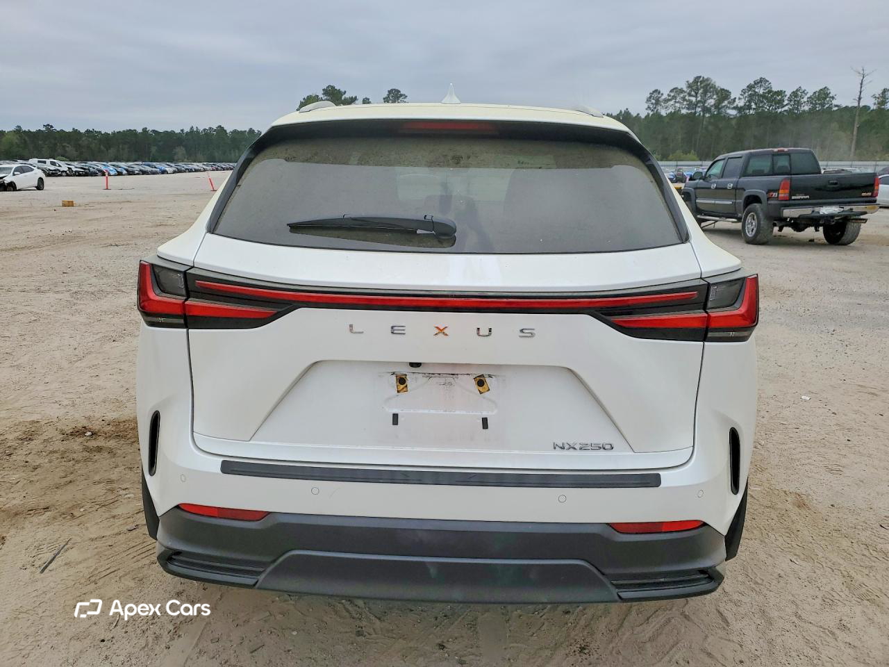 Lexus NX 2023