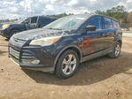 Ford Escape 2013