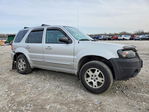 Ford Escape 2005