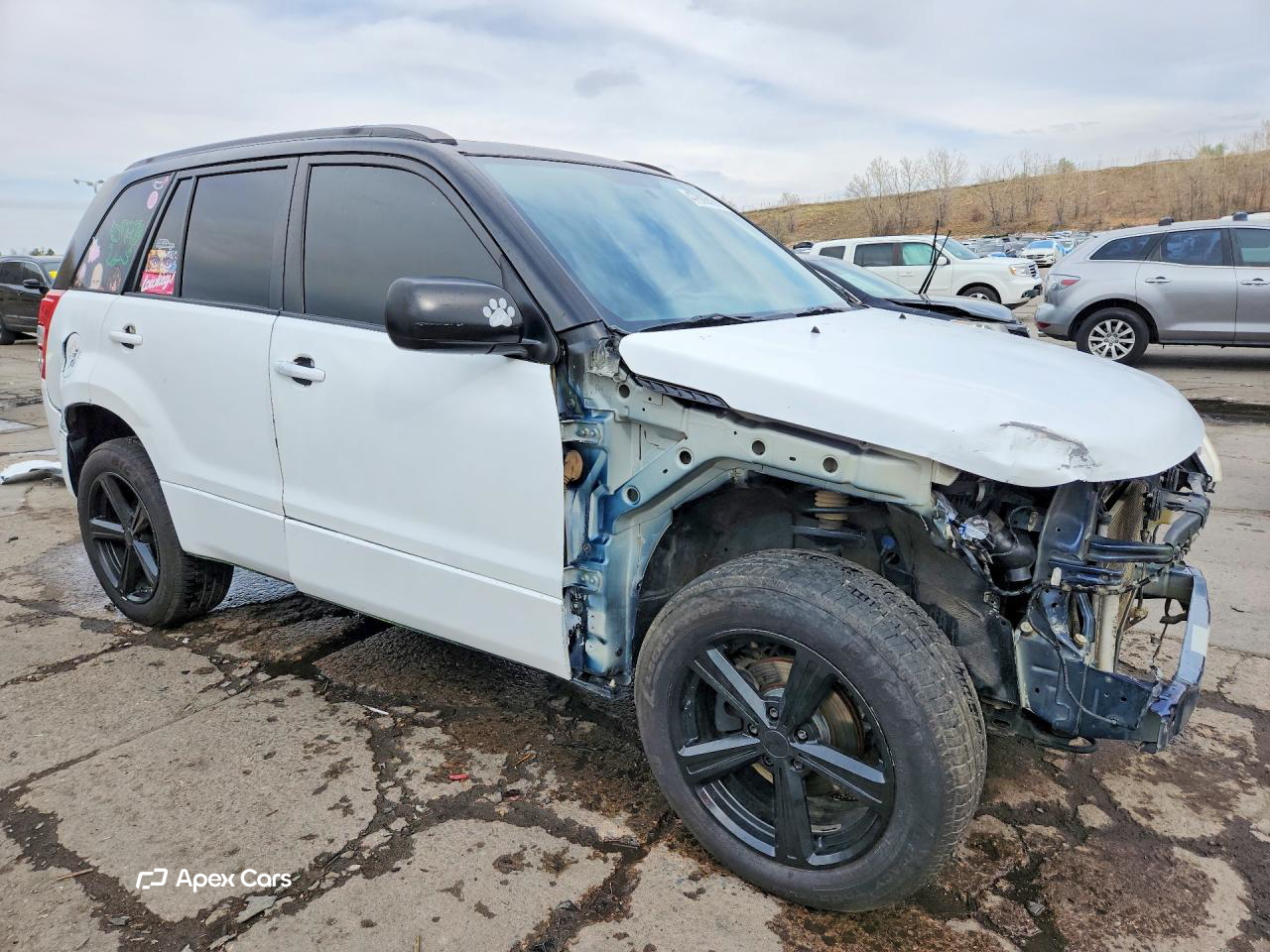 Suzuki Grand Vitara 2010