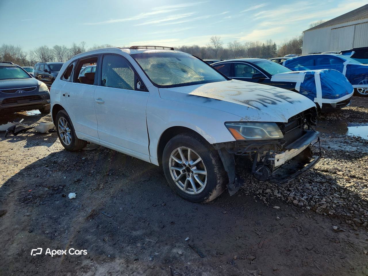 Audi Q5 2010