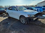Audi Q5 2010