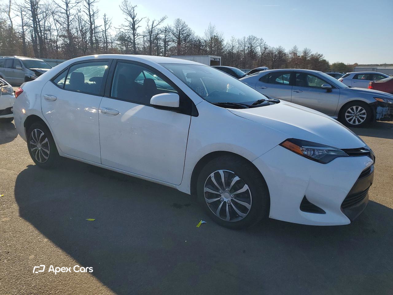 Toyota Corolla 2019