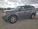 Ford Escape 2011