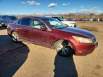 Honda Accord 2010
