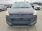 Ford Escape 2016