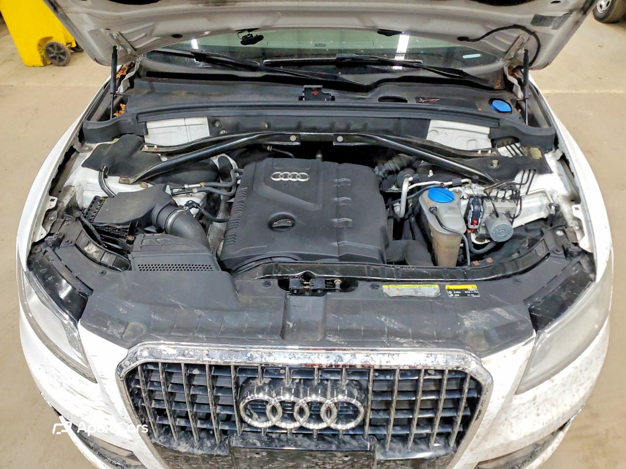 Audi Q5 2013