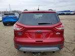 Ford Escape 2013