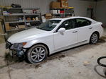 Lexus LS 2008