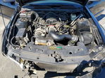 Ford Mustang 2007