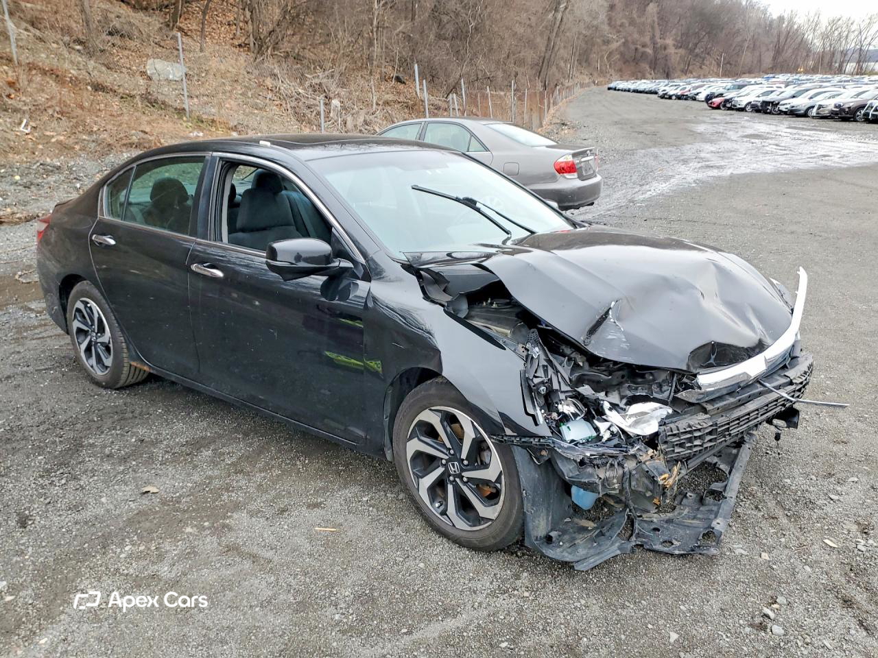 Honda Accord 2017