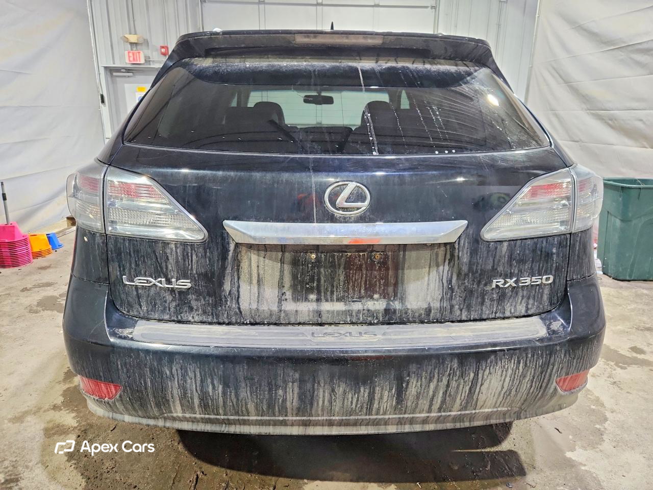 Lexus RX 2010