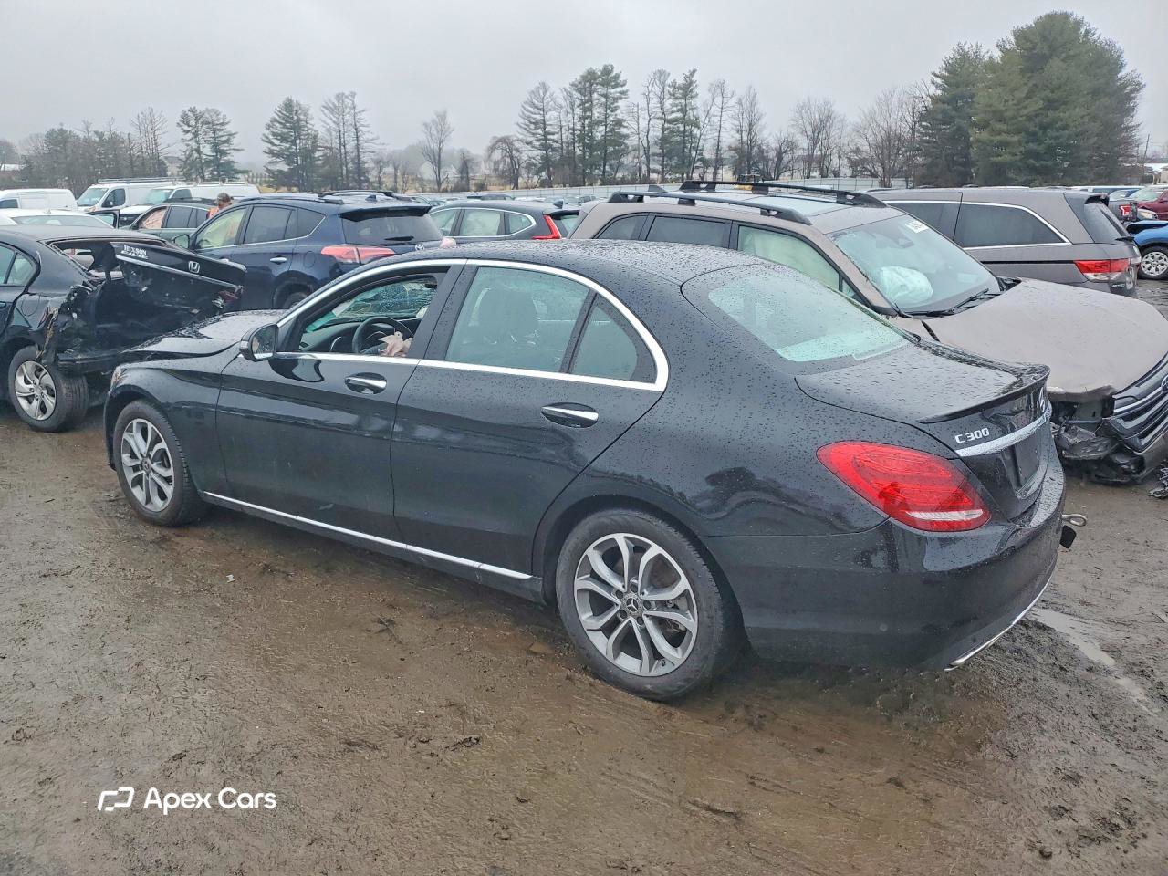 Mercedes-Benz C-klasse 2017